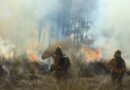 Incendios forestales han arrasado 23 mil hectáreas en el país: Cámara de Diputados